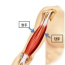 올리브짐 이미지
