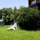 상록수집 이미지