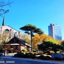 3.1만세운동길 이미지