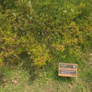 장두못공원 이미지