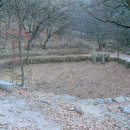 동천2호 Daum카페