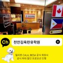 필리핀 어학연수 / 세부 입국 심사 / 막탄 CIA 어학원 프로그램, 후기, 4주 한달 비용