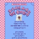 씻고가개 이미지