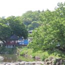 느티나무피시방 이미지