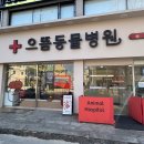 주안동물병원 | 주안동물병원 으뜸에서 심장초음파 건강검진