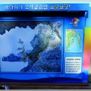 나금당 Daum카페