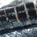김밥천하 이미지