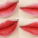 스칼렛로즈 이미지