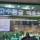 단양마운틴펜션민박 | 단양 고수동굴 여행 다녀왔습니다. (후기 &amp; 관람 꿀팁 총정리)