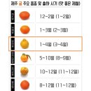 과일가게 이미지