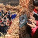 동물식물 생태체험교실 이미지