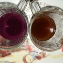 샬롬농원 이미지