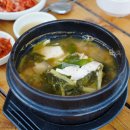 동강나루 | 동강레프팅 패키지 추천, 영월래프팅 코스 최고!