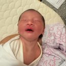 쮸쮸멍 | 동탄제일병원 자연분만 다인실 비용 후기 | 모자동실 면회 모유수유 가슴마사지