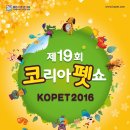 도그비잉코리아