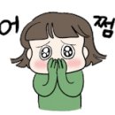 올포카서비스