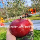 이현 1농장 이미지