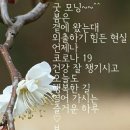 아가폐