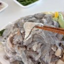 모듬내길 | 가락시장 맛집 영흥수산 횟집 도다리 모듬회 주차 포장 후기
