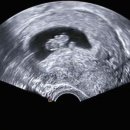 마이더스산부인과의원 이미지