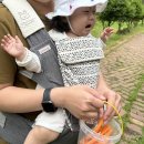양떼마트 이미지