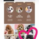 도그스낵 이미지