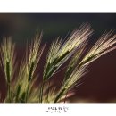 순광농장 이미지