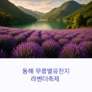 삼화밧데리 | 동해 무릉별유천지 라벤더축제, 6월 보랏빛 여행 코스 정리
