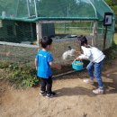 송산목장 이미지