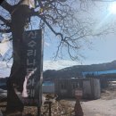 가족나무 | 청주 연말모임 장소추천 ‘상수리나무아래 가마구이’ 내돈내산 가족외식 후기