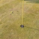 도곡골프랜드 이미지