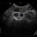제주24시숨동물의료센터 이미지