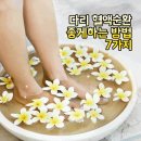 다리 혈액순환 좋게하는초ㅣ신 게시물 이미지