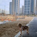 동화교 앞 이미지