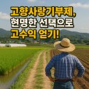 진도축산 | 고향사랑기부제, 현명한 선택으로 고수익 얻기! 💰