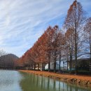 기후변화체험관 | 전남 담양 개구리생태공원&amp;호남기후변화체험관 방문후기