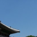 김명례의자연공감도 이미지