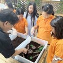 전북특별자치도 정읍시농업기술센터 이미지