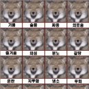 포커페이스