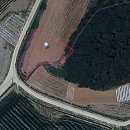 동진면사무소 이미지