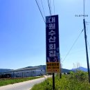 대원2세천 | 경북 예천 의성 안동 송어회 맛집, 대원수산회집 방문 후기