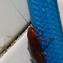 김밥천국(광영점) 이미지