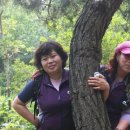 애기능약수터 이미지