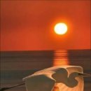 척척마취통증의학과의원 이미지