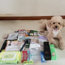 (주)덴탈랩스 | 2026 펫페어 마곡 코엑스 마곡 방문 후기! 선착순 방문선물+아이리스 슬리커 브러쉬 구매