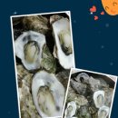 북비산약국 이미지