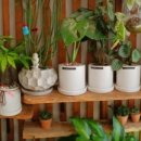 더블라썸플라워샵 이미지