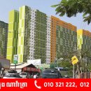 사랑으로 이미지