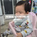 성산식당 | 제주 동뜬식당 성산 아기랑가기좋은 식당 솔직 방문후기