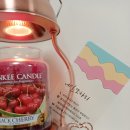 네일또하리 이미지